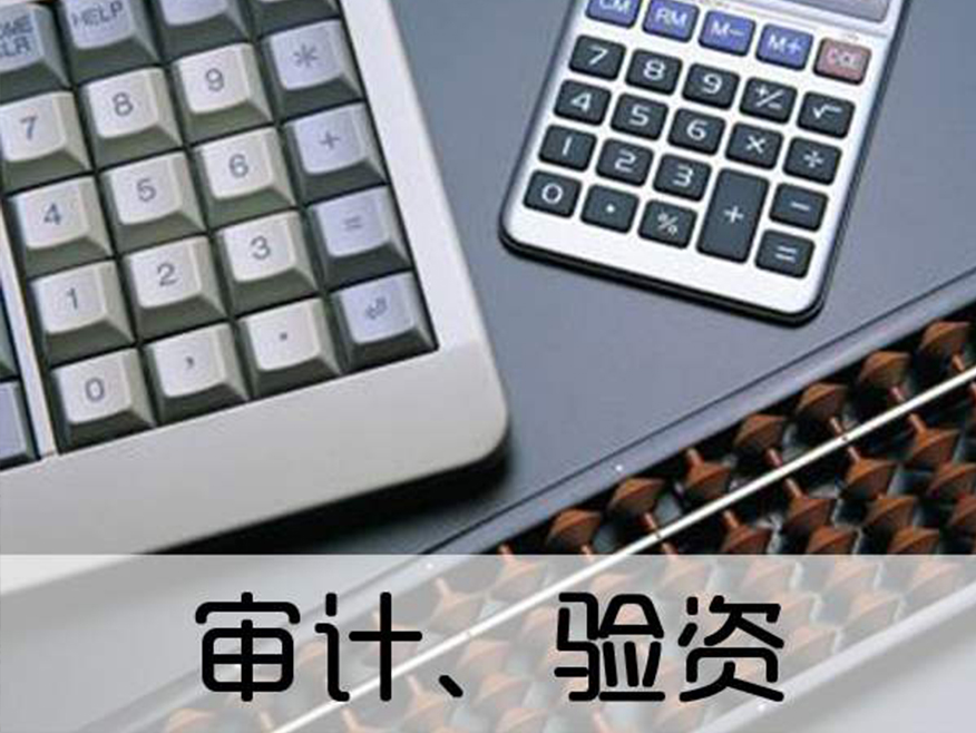验资审计